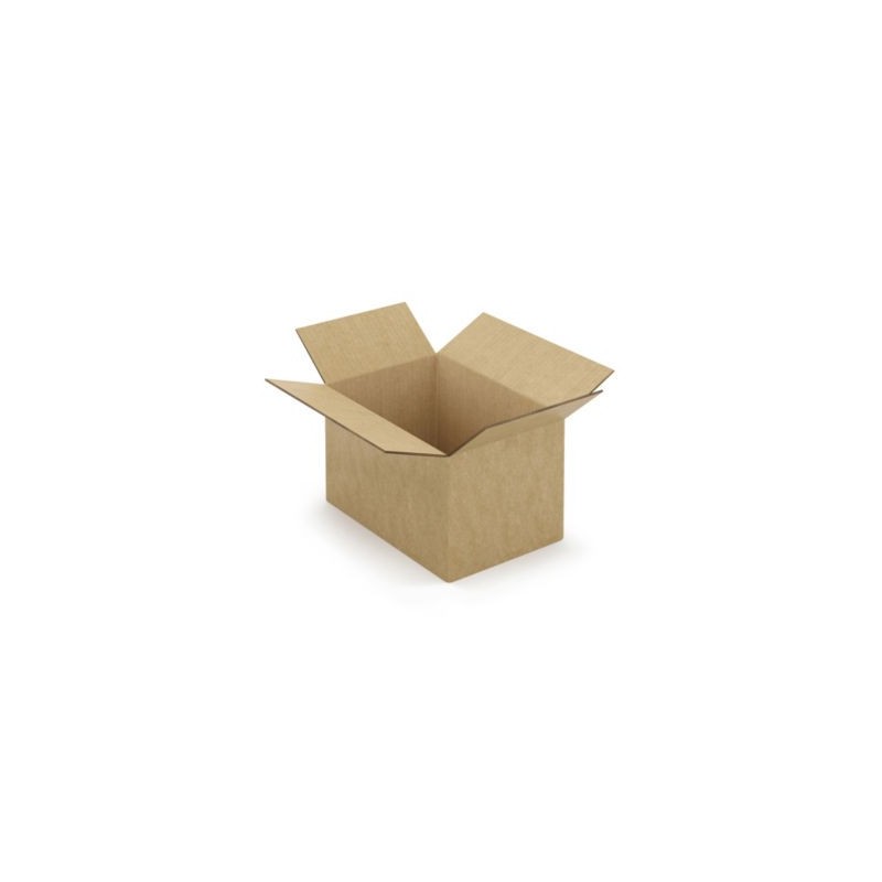 Caisse carton brune double cannelure à montage instantané RAJA  29x19x18 cm - Lot de 20