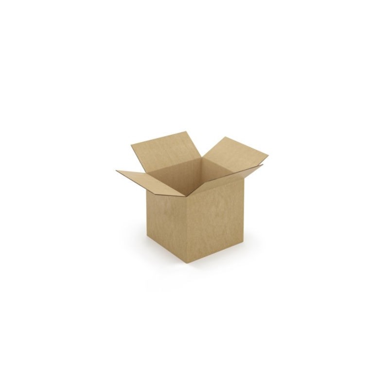 Caisse carton brune double cannelure à montage instantané RAJA  30x30x30 cm - Lot de 20