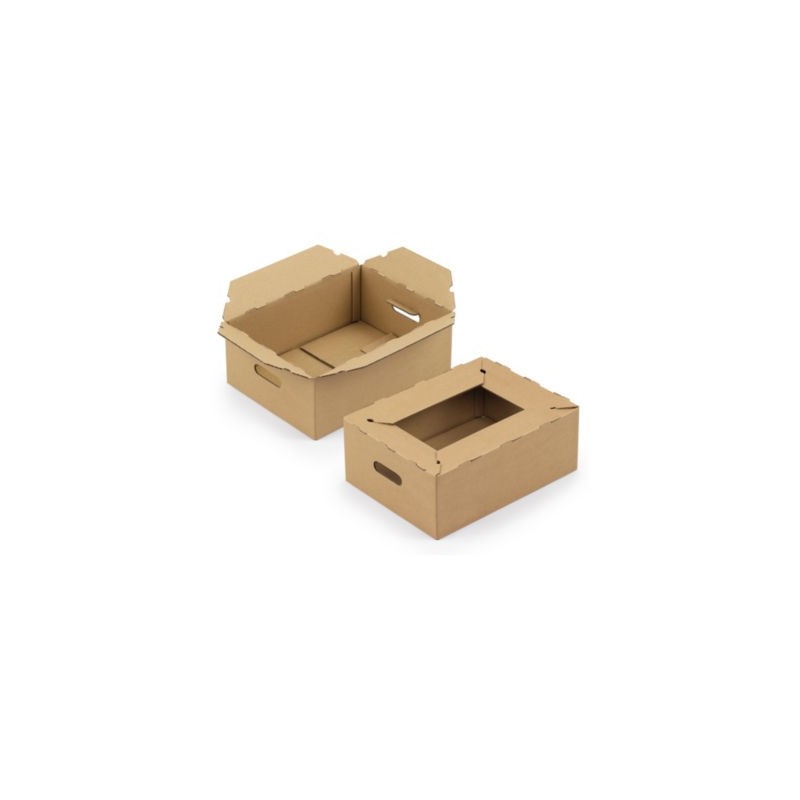Caisse carton pour livraison des produits de consommation RAJA 40x30x15 - Lot de 20