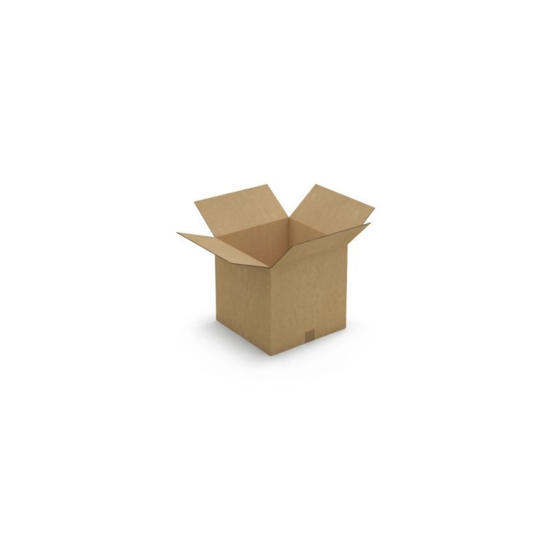 Caisse carton brune double cannelure renforcée RAJA 38,5x38,5x37 cm - Lot de 10