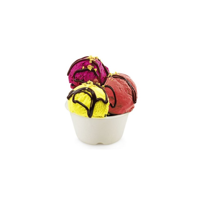 Coupe à dessert en canne à sucre - Paquet de 300
