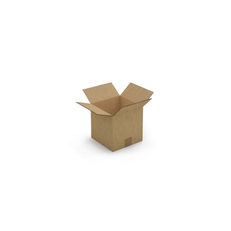 Caisse carton brune double cannelure RAJA 20x20x20 cm - Lot de 15