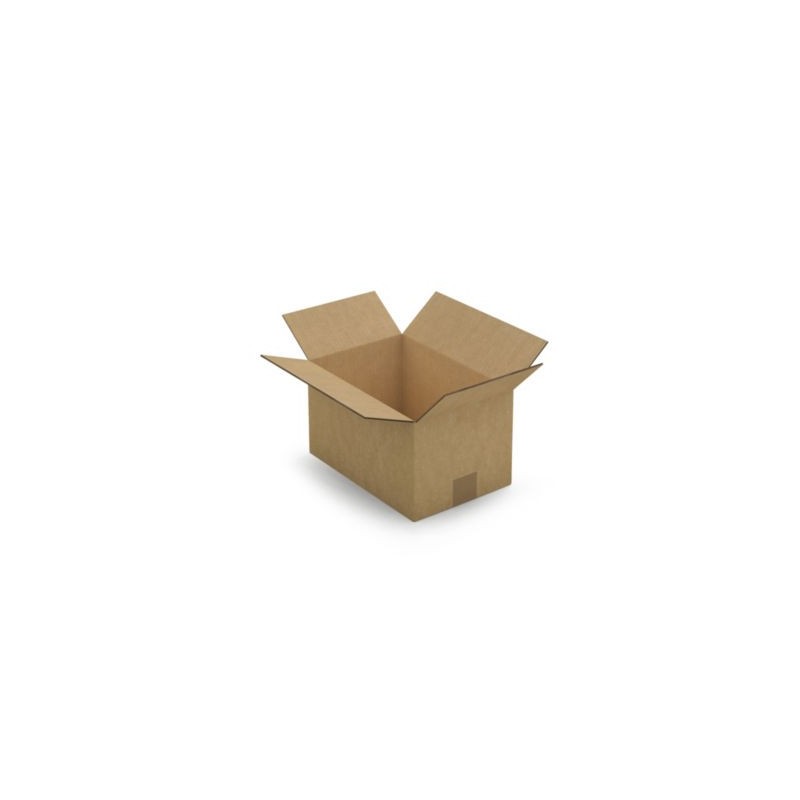 Caisse carton brune double cannelure RAJA 30x20x17 cm - Lot de 15