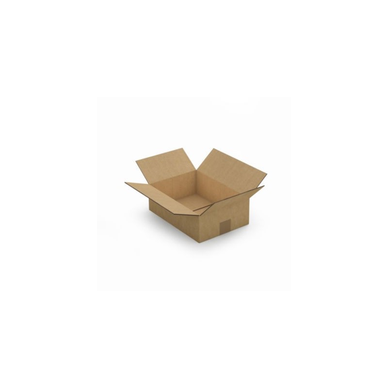 Caisse carton brune double cannelure RAJA 31x22x10 cm - Lot de 15