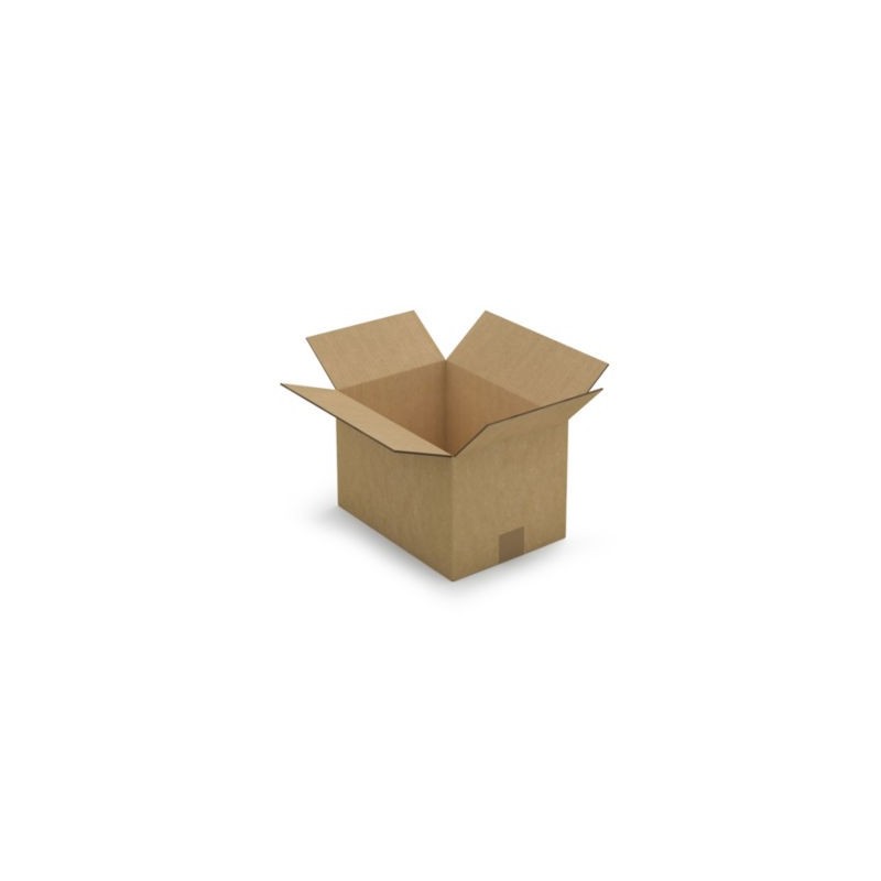 Caisse carton brune double cannelure RAJA 31x22x20 cm - Lot de 15