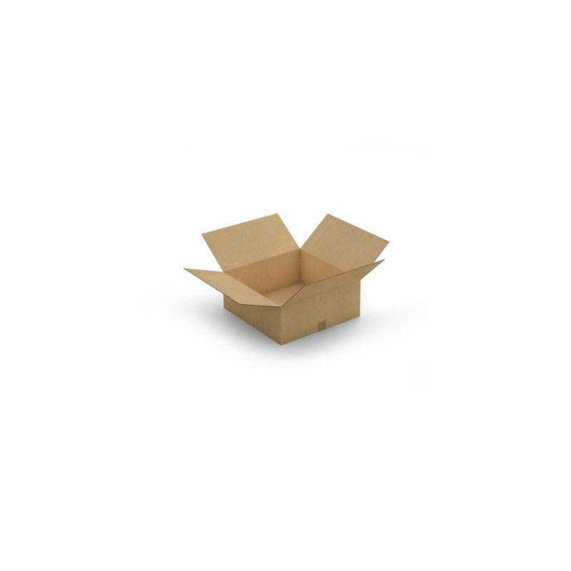 Caisse carton brune double cannelure RAJA 50x50x20 cm - Lot de 10