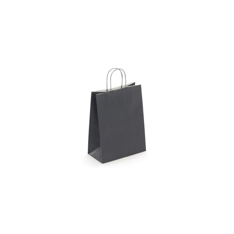 Sac kraft intérieur blanc lisse gris à poignées torsadées RAJA 23 x 30 x 12 cm - Paquet de 50