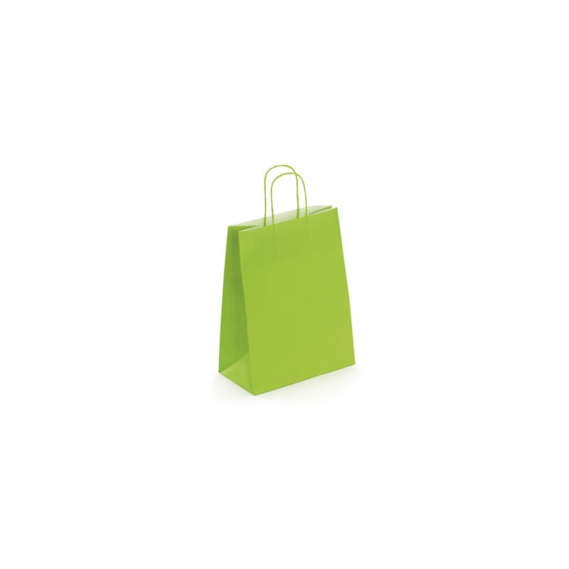 Sac kraft intérieur blanc lisse vert à poignées torsadées RAJA 23 x 30 x 12 cm - Paquet de 50