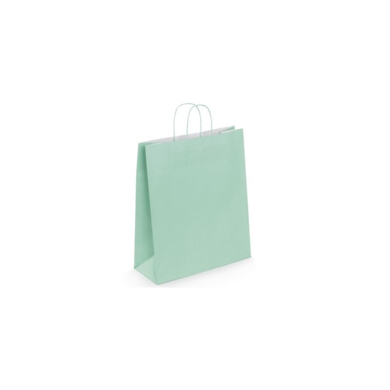 Sac kraft intérieur blanc lisse vert d'eau à poignées torsadées RAJA 35 x 40 x 14 cm - Paquet de 50
