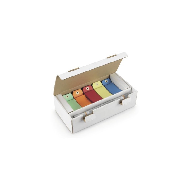 Étiquette américaine cartonnée couleurs assorties avec attache métallique 80x38 mm - Paquet de 1000