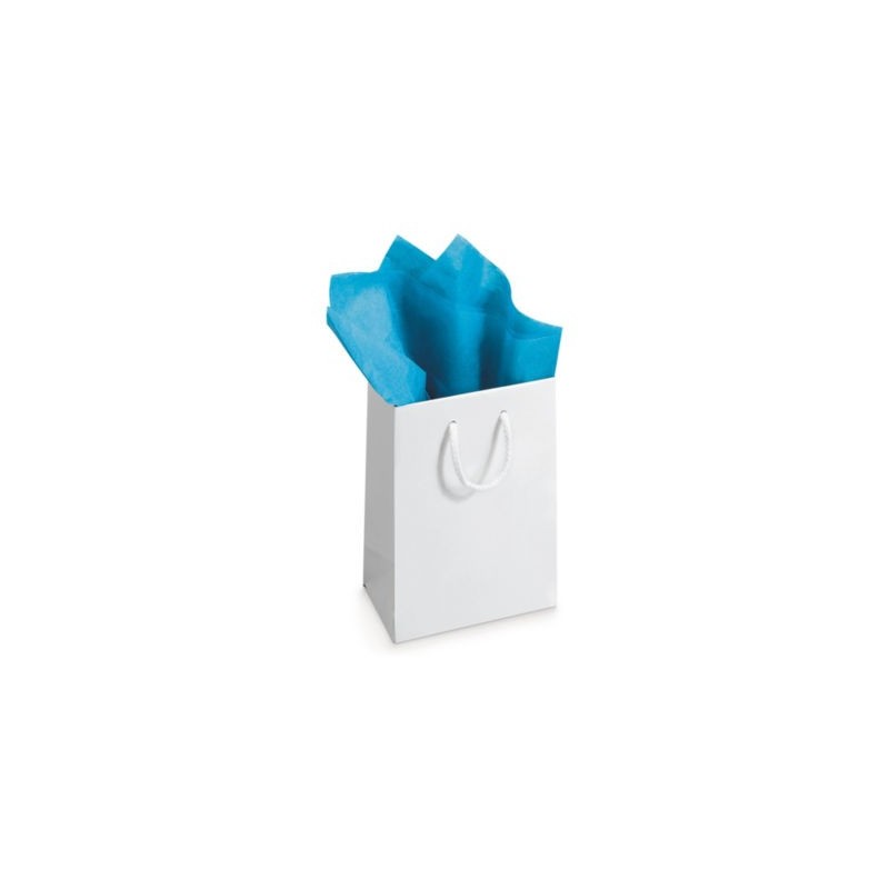 Papier de soie en rame turquoise RAJA 50 x 75 cm - Paquet de 480