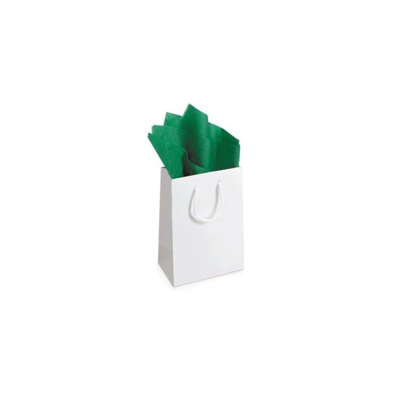 Papier de soie en rame vert sapin RAJA 50 x 75 cm - Paquet de 480