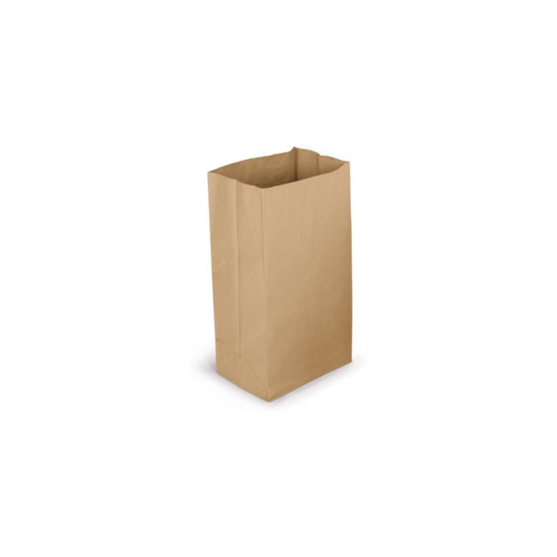 Sac kraft recyclé 30 x 56 x 20 cm - Paquet de 100