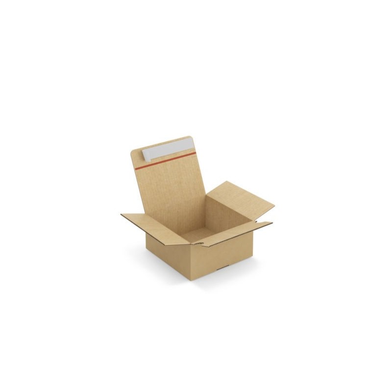 Caisse carton brune simple cannelure montage instantané fermeture adhésive RAJA 20x20x10 cm - Lot de 20