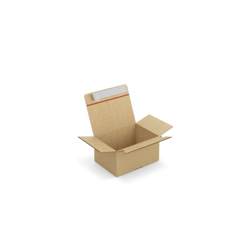 Caisse carton brune simple cannelure montage instantané fermeture adhésive RAJA 21,5x15,5x11 cm - Lot de 20
