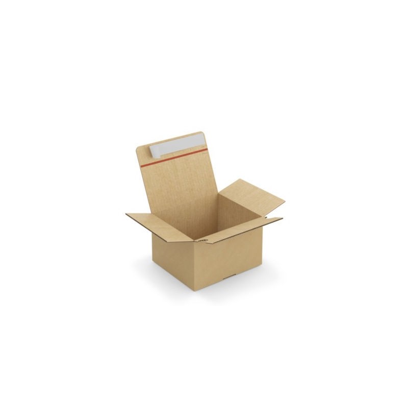 Caisse carton brune simple cannelure montage instantané fermeture adhésive RAJA 21x18x13 cm - Lot de 20