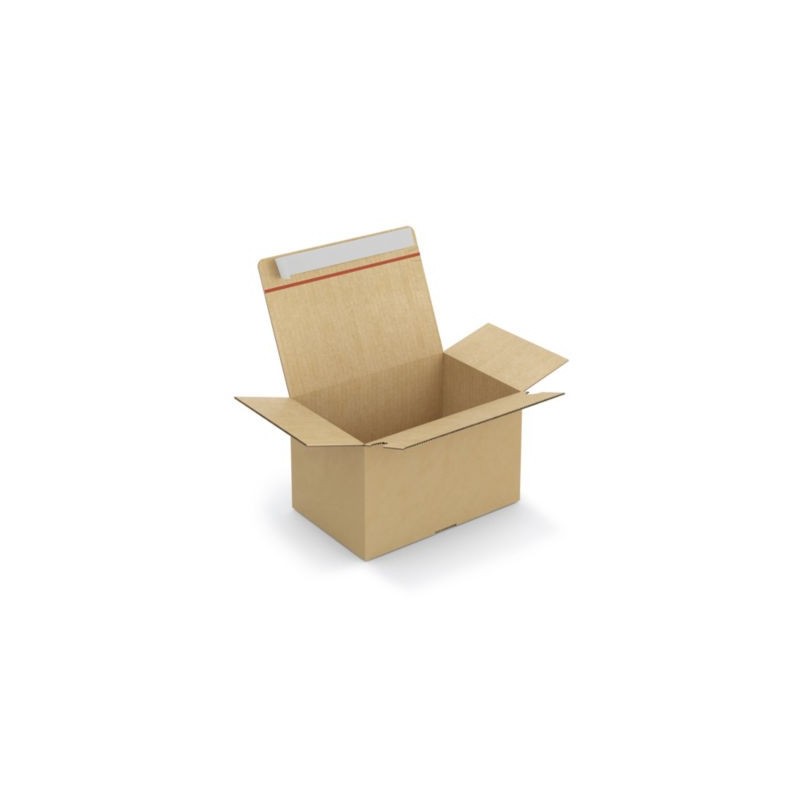 Caisse carton brune simple cannelure montage instantané fermeture adhésive RAJA 29x19x18 cm - Lot de 20