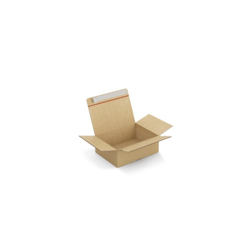 Caisse carton brune simple cannelure montage instantané fermeture adhésive RAJA 31x23x11 cm - Lot de 20