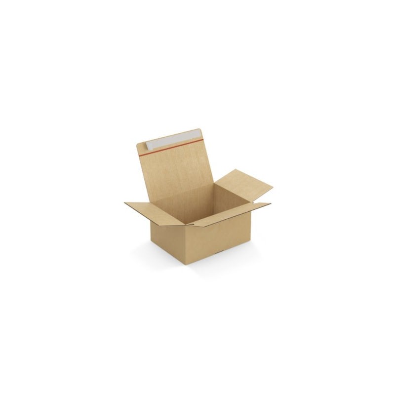 Caisse carton brune simple cannelure montage instantané fermeture adhésive RAJA 31x23x16 cm - Lot de 20