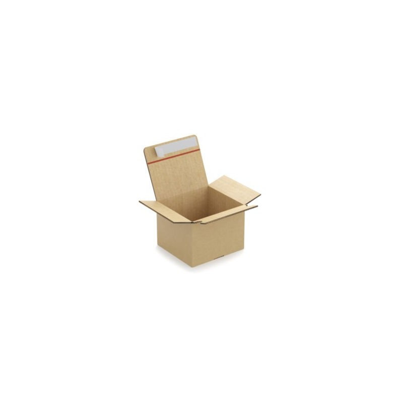 Caisse carton brune double cannelure montage instantané fermeture adhésive RAJA 20x15x15 cm - Lot de 10