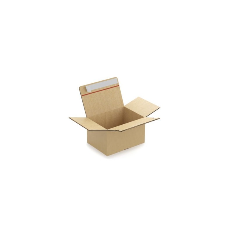Caisse carton brune double cannelure montage instantané fermeture adhésive RAJA 25x15x15 cm - Lot de 10