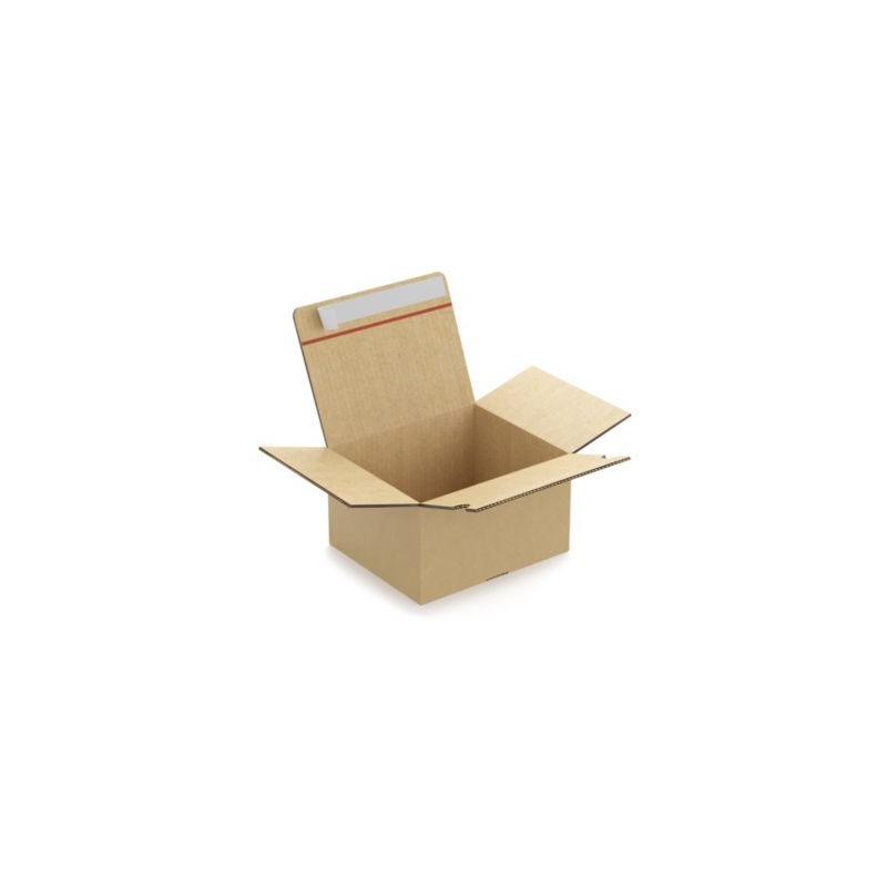 Caisse carton brune double cannelure montage instantané fermeture adhésive RAJA 26x22x15 cm - Lot de 10