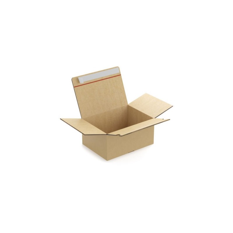 Caisse carton brune double cannelure montage instantané fermeture adhésive RAJA 31x23x15 cm - Lot de 10