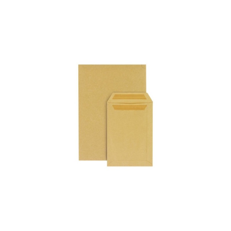 Pochette kraft brune autocollante sans fenêtre 24 - 260x330 mm RAJA - Paquet de 250