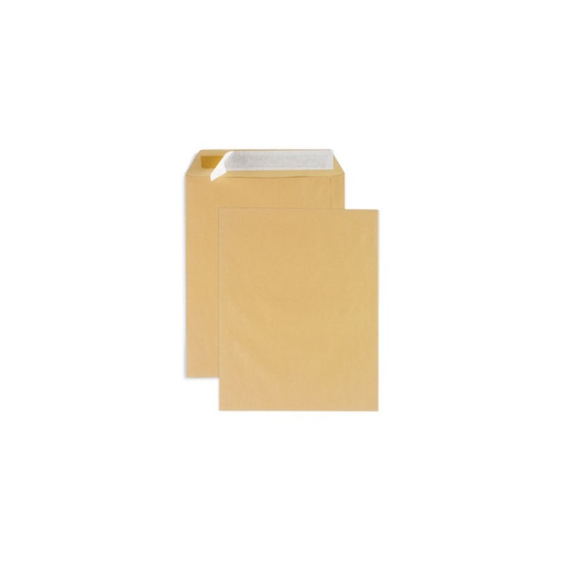 Pochette kraft brune auto-adhésive sans fenêtre 24 - 260x330 mm RAJA - Paquet de 250