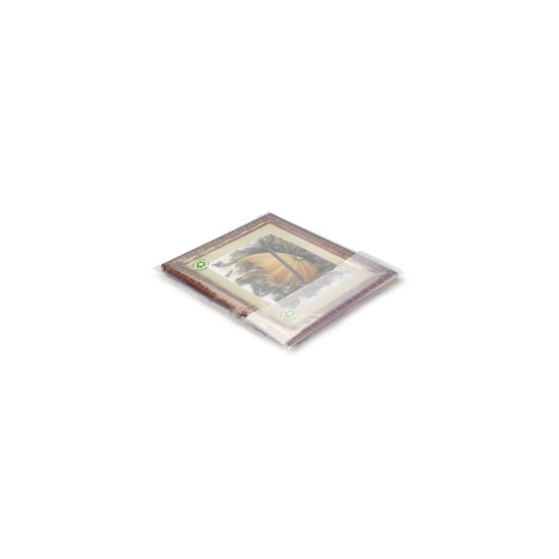 Sachet plastique recyclé transparent 100 microns RAJA 60x80 cm - Paquet de 150