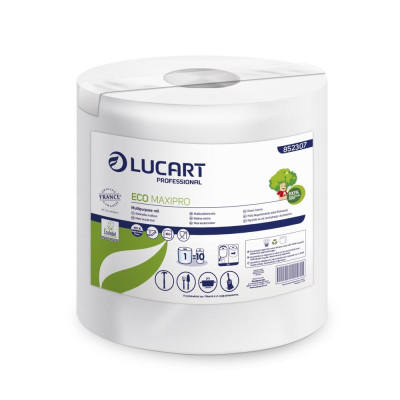 Essuie-tout recyclé LUCART