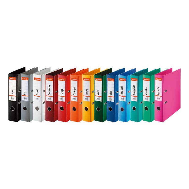 Esselte Classeur à levier A4 - Carton 22/10e - Dos 7,5 cm - Assortis classique