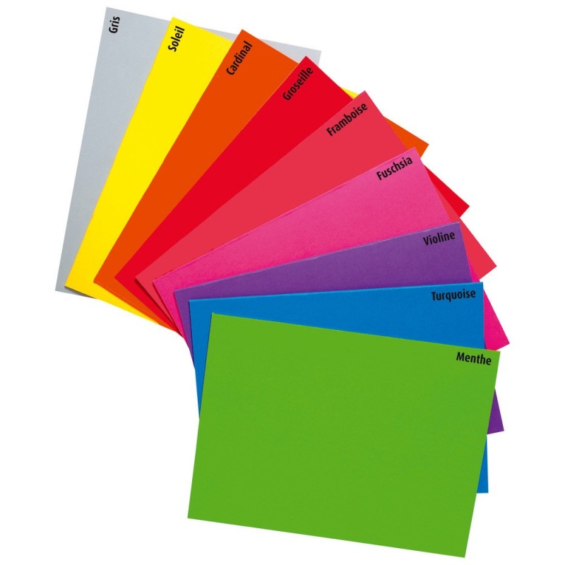 RAJA Chemises dossiers 220g - 24 x 32 cm - Assortis vifs - Lot de 100
