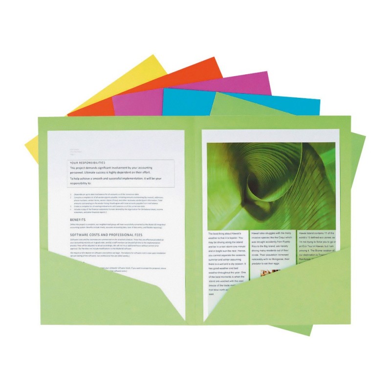 Exacompta Chemise fine Nature Future® 80 feuilles A4 24 x 32 cm Carton Couleurs assorties Lot de 25