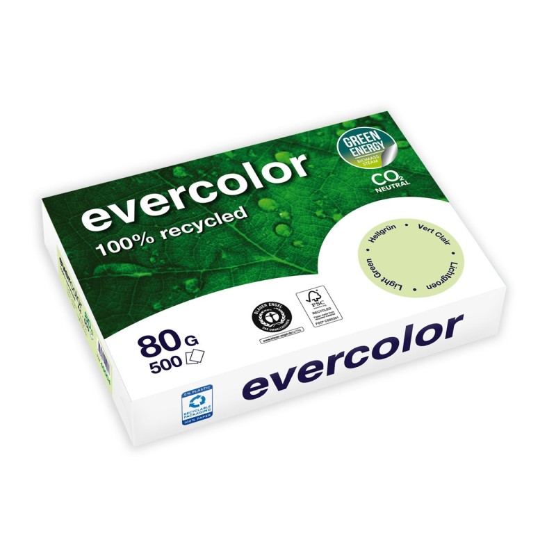 Clairefontaine Papier A4 Evercolor - 80g - Ramette de 500 feuilles - Vert Clair