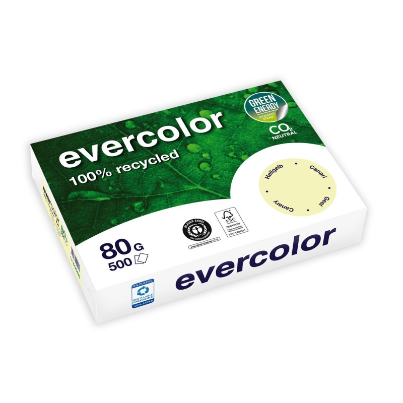 Clairefontaine Papier A4 Evercolor - 80g - Ramette de 500 feuilles - Jaune