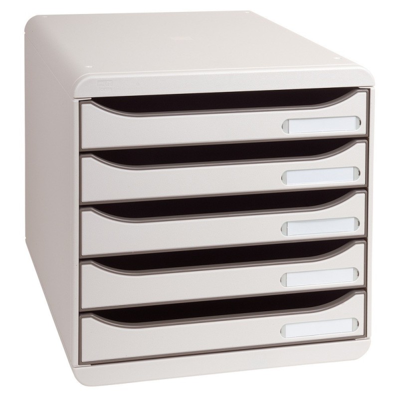 Exacompta Module de classement Big Box 5 tiroirs - corps et tiroirs gris