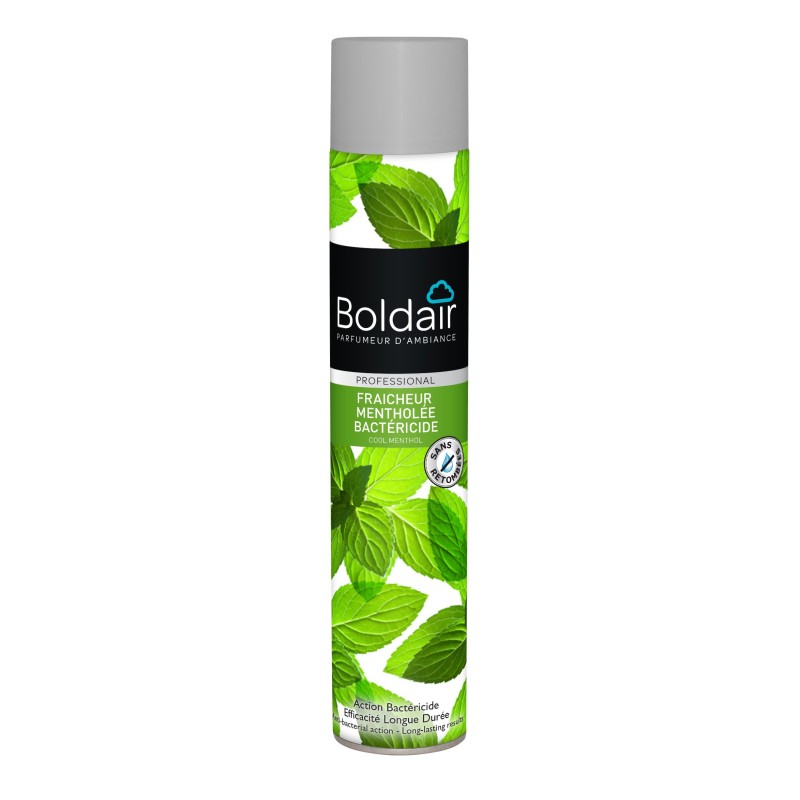 Boldair Désodorisant parfumant Fraicheur mentholée bactéricide - 500 ml