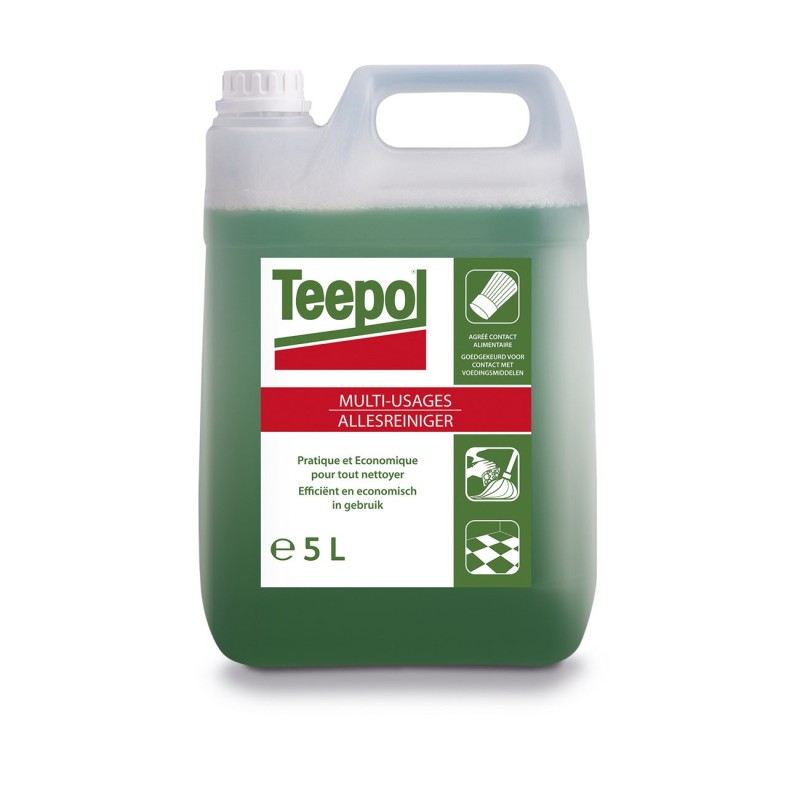 Teepol Bidon de détergent liquide multi-usage vert 5 l