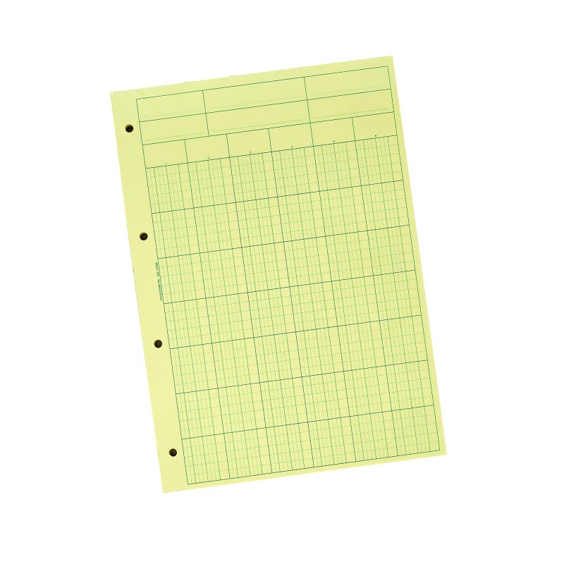 Exacompta Bloc Audit de Contrôle comptable, 6 colonnes, 70 feuillets - 21 x 29,7 cm - A4