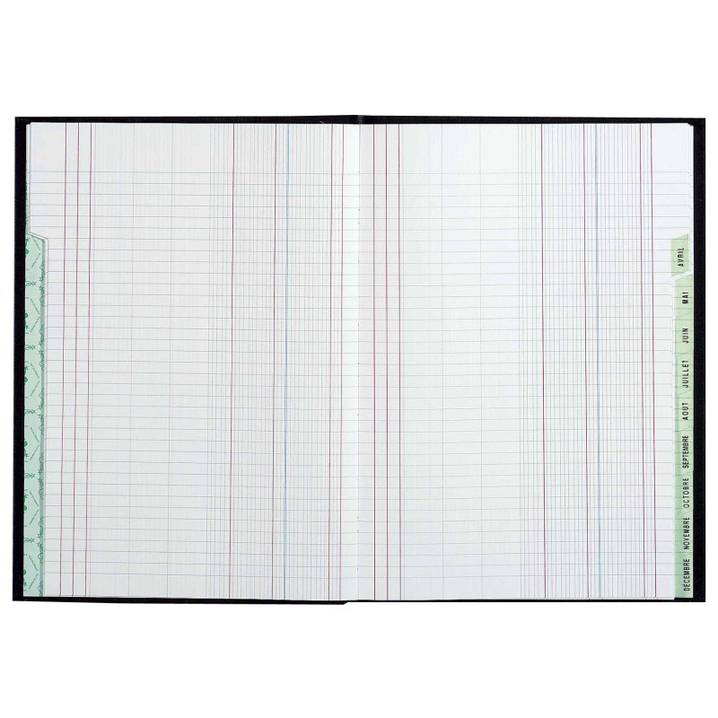 REGISTRES LE DAUPHIN Piqûre Echéancier mensuel - L.29,7xH.21 cm, 96 pages