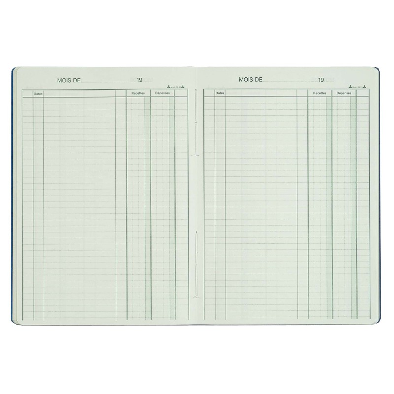 REGISTRES LE DAUPHIN Piqûre Recettes-Dépenses - H.29,7xL.21 cm, 80 pages