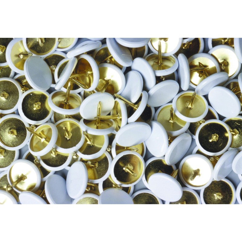RAJA Punaises tête plate blanche en plastique -Boîte de 120