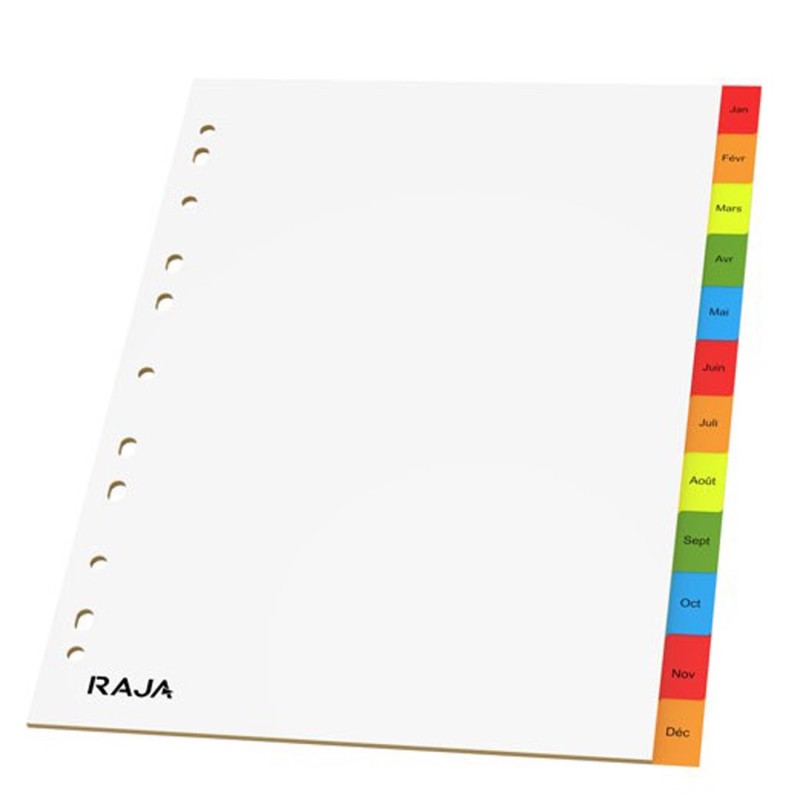 RAJA Intercalaires mensuels A4 en polypropylène gris - 12 divisions couleur