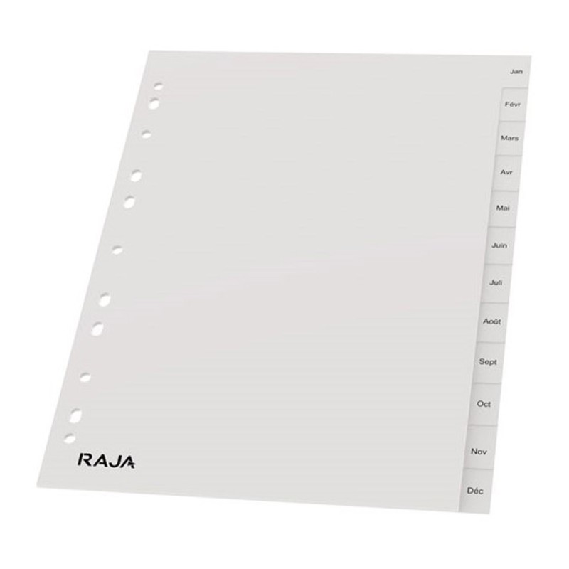 RAJA Intercalaires mensuels A4 en polypropylène gris - 12 divisions
