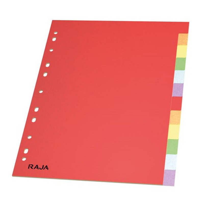 RAJA Intercalaires neutres A4 en carte lustrée 225g couleur - 12 onglets