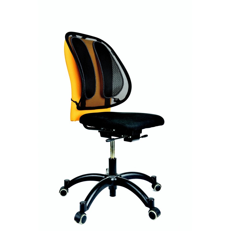 Fellowes Support dorsal en maille Office Suites™ - Noir