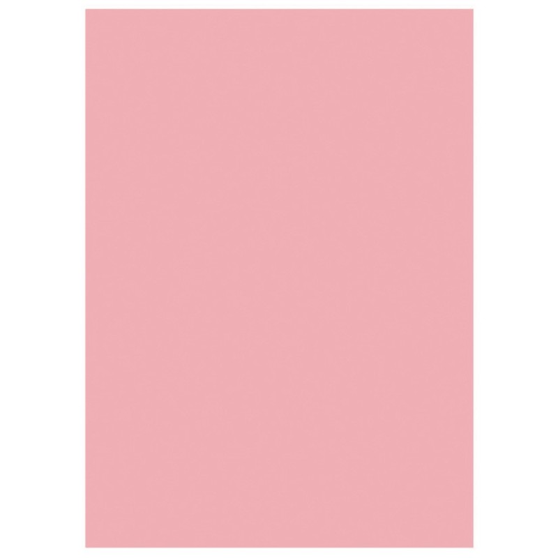RAJA Sous-chemises 60g recyclées - 22 x 31 cm - Pastel Rose - Lot de 250