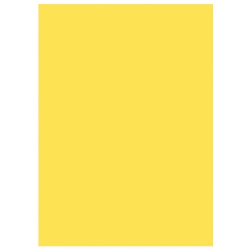RAJA Sous-chemises 60g recyclées - 22 x 31 cm - Pastel Jaune - Lot de 250
