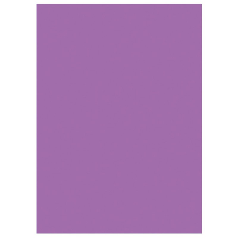 RAJA Sous-chemises 60g recyclées - 22 x 31 cm - Pastel Violet - Lot de 250